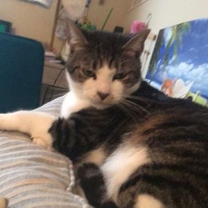 Meet your Posher, Claire